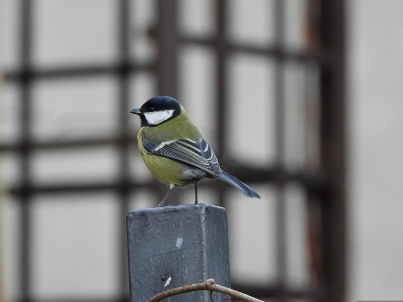 Прикмети на 24 вересня: які 5 речей не можна робити жінкам, щоб залучити достаток і гроші