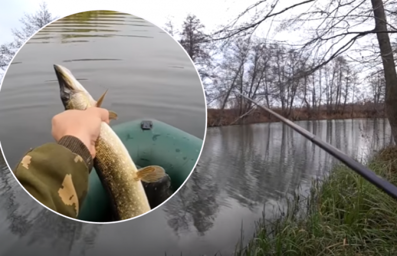 Места, приманки и хитрости: как поймать щуку осенью