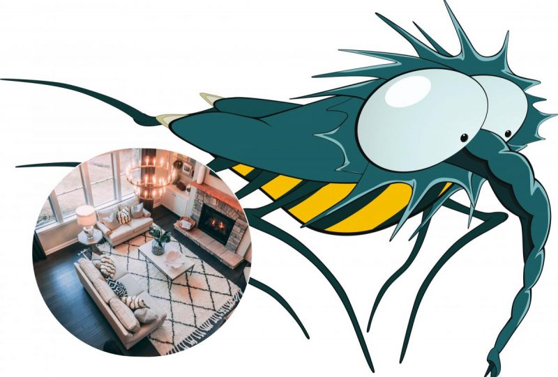 Що робити, якщо в будинку завелися блохи, і як позбутися від шкідників