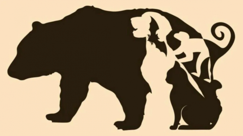 Какое животное вы увидели первым: тест по картинке расскажет о вашем характере