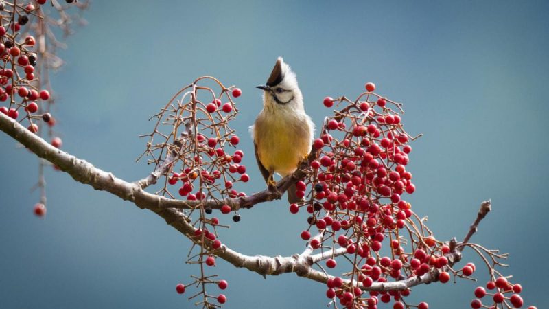 Приметы на 30 сентября: какие 5 вещей нужно сделать, чтобы привлечь удачу