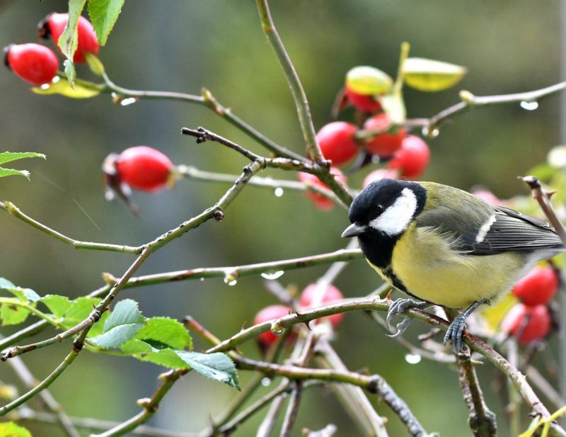 Прикмети на 1 жовтня: які 5 заборон не можна порушувати в перший день місяця