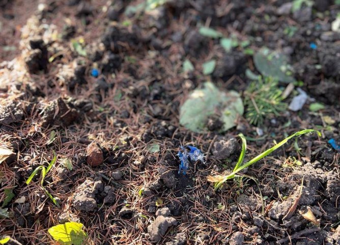 Обстріл, Суми