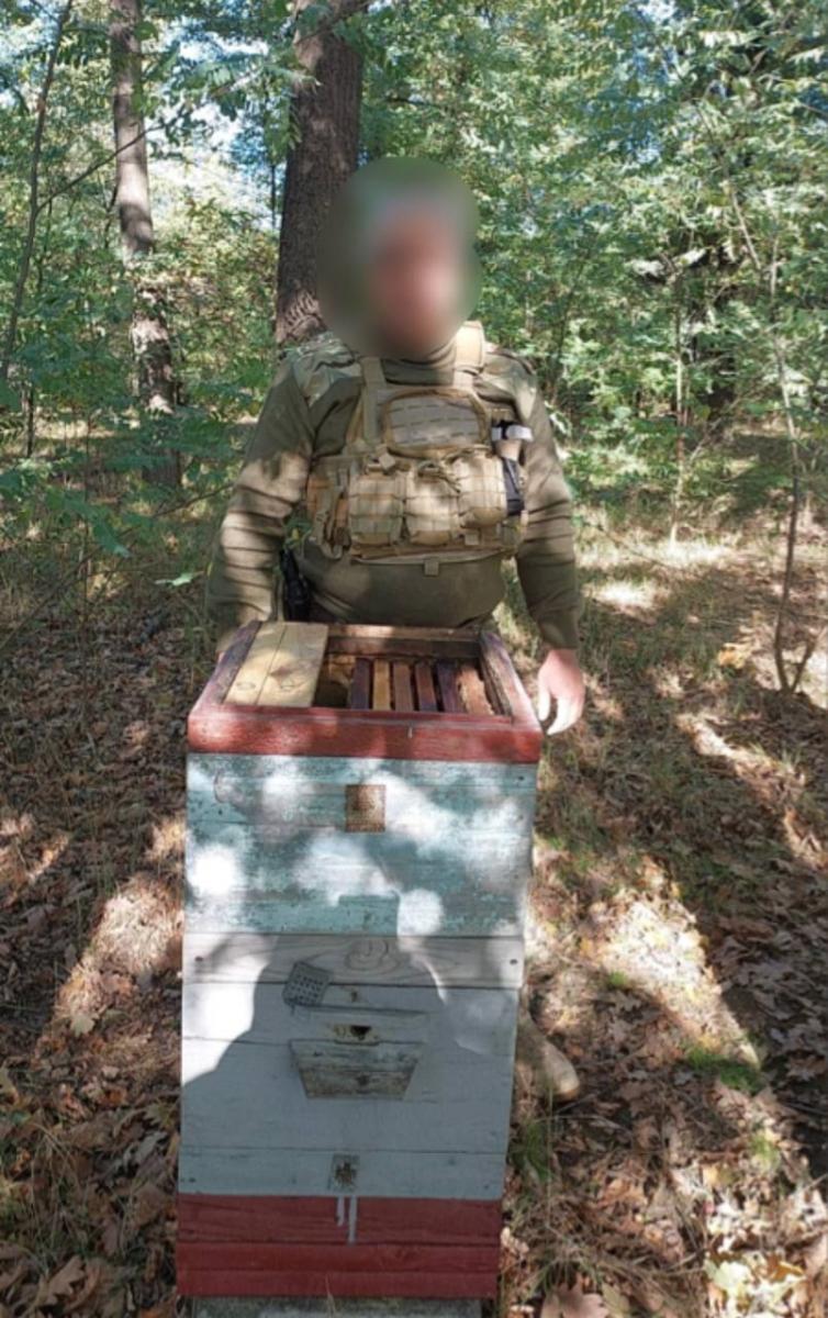 Бджоли "знешкодили" вибухівку в замінованому росіянами вулику Бджоли "знешкодили" вибухівку в замінованому росіянами вулику