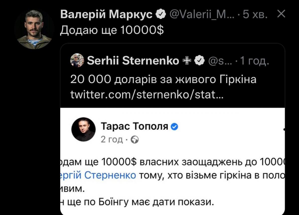 За Гиркина в плену обещают $30 тысяч: флешмоб Стерненко подхватили Тополя и Маркус