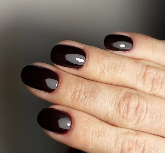 Шоколадный маникюр 2022 Шоколадный маникюр 2022