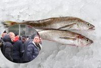 Риба в обмін на чмобіка: на Сахаліні підтримали сім'ї мобілізованих