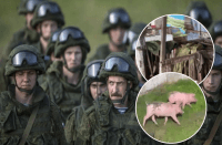 Знайшли собі подібних: окупанти поселились у брудному свинарнику на Херсонщині