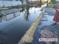 У Миколаєві дрони пошкодили цистерни з тисячами тонн олії: вона тече вулицями