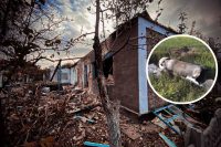 Донька загинула під завалами, мати – у лікарні: окупанти вбили двох жінок на Херсонщині