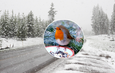 погода, погода в Україні погода, погода в Україні