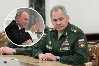 Путин собирается уволить Шойгу, свалив на него вину за провал войны – ISW