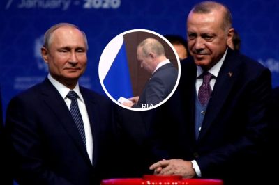 Владимир Путин, Реджеп Тайип Эрдоган