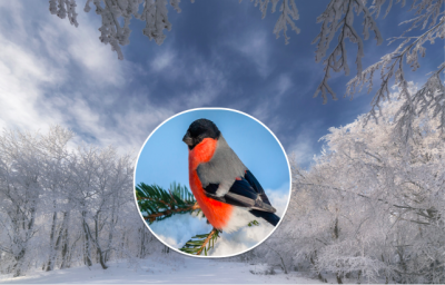 погода, погода в Україні погода, погода в Україні