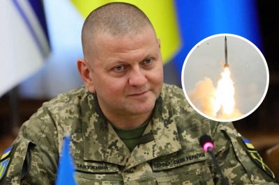 ПВО и ПРО эффективно работают: Залужный успокоил украинцев в условиях ракетных обстрелов