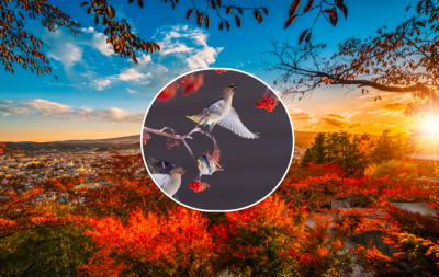 Погода, погода в Україні Погода, погода в Україні