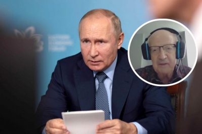 Владимир Путин, Андрей Пионтковский