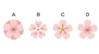 тест по картинке