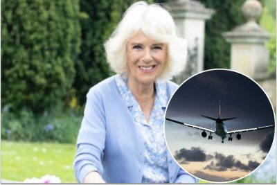 Королева-консорт Камилла, самолет Королева-консорт Камилла, самолет