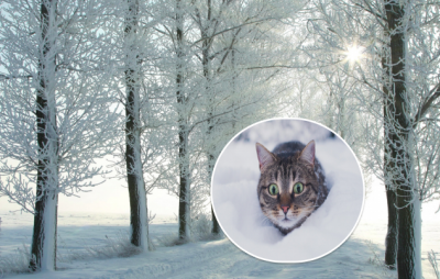 погода, погода в Україні