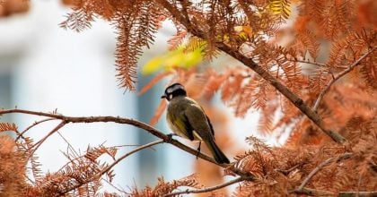 Погода зміниться кардинально: що чекає на українців найближчим часом