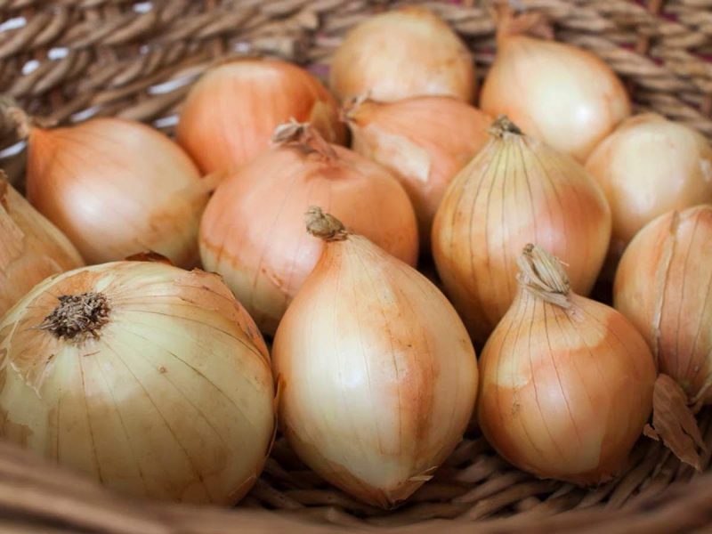 В Украине может стать дефицитом популярный овощ: в чем причина