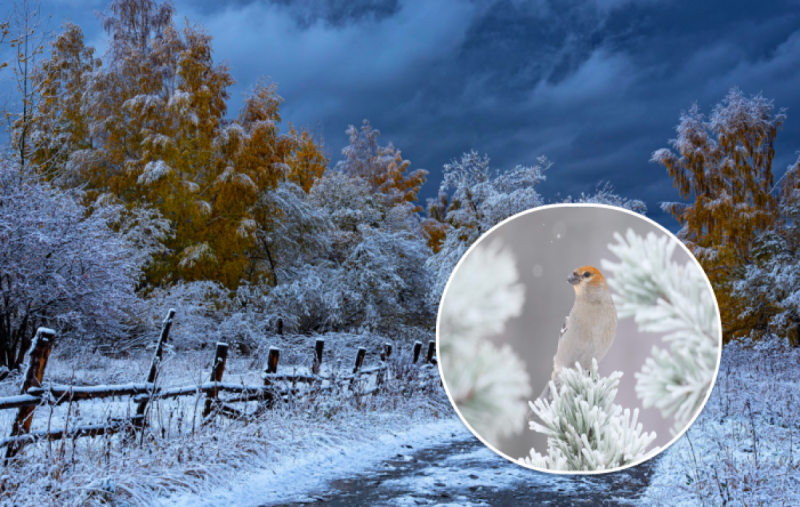 Налетить шторм і вдарить дубак: в Україні до кінця тижня різко зміниться погода