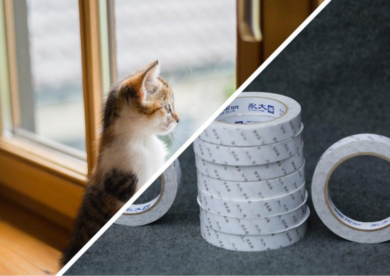 Как утеплить окна: 100-процентные способы, о которых вы не подозревали