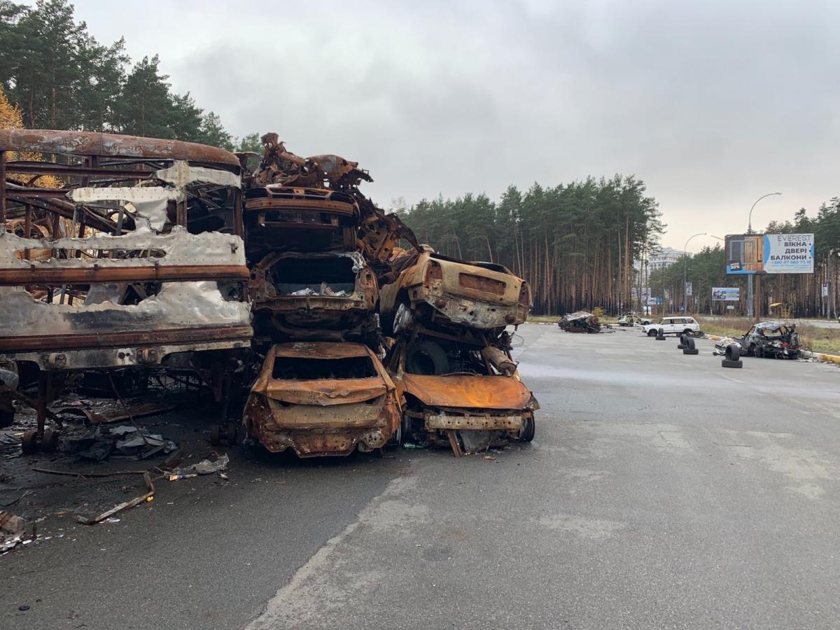 Кошенята з Ірпіня Кошенята з Ірпіня