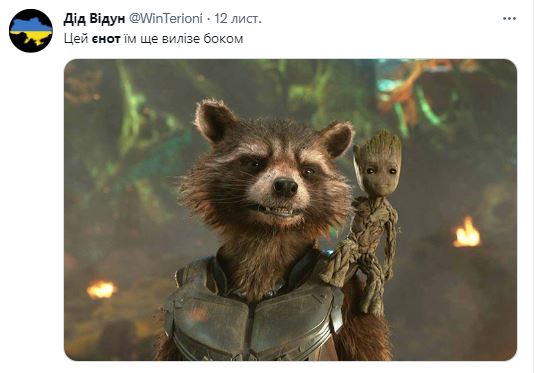 Енот из Херсонського зоопарка