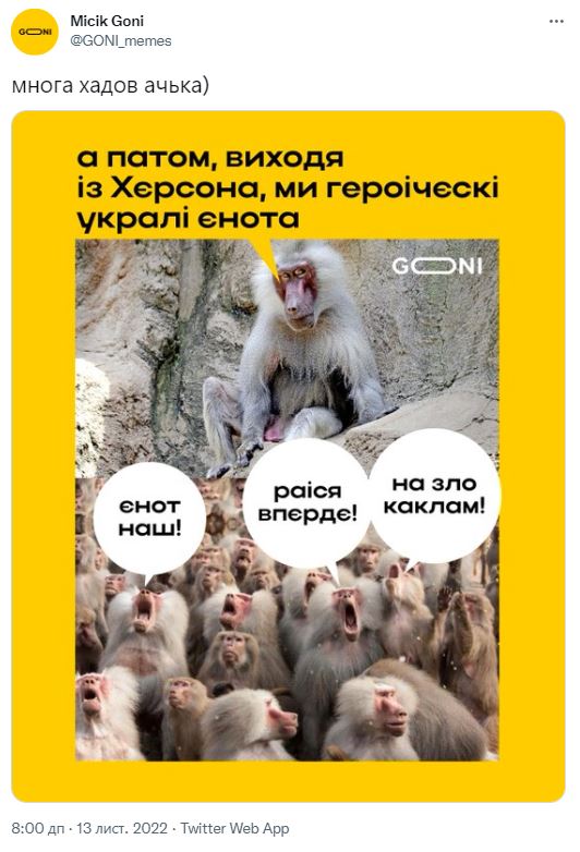 Енот из Херсонського зоопарка