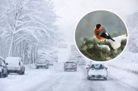 Київ завалить снігом: киянам назвали дату небезпечної погоди