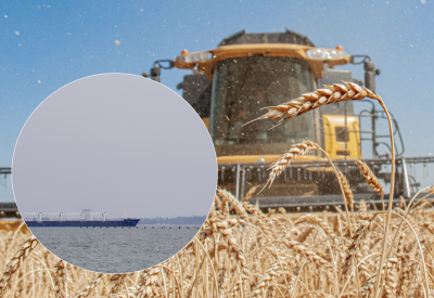 Вивезення зерна, зернова угода Вивезення зерна, зернова угода