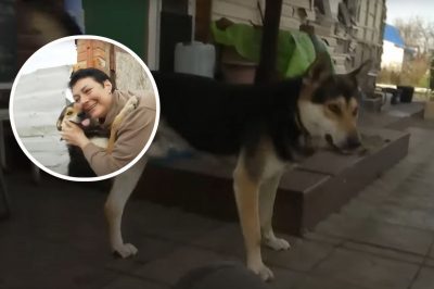 Пес Мухтар из Мощуна