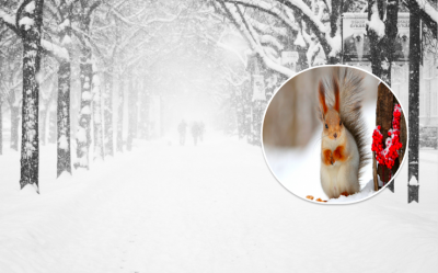 Завалить снігом і вдарить сильний мороз: синоптики дали неприємний прогноз для України