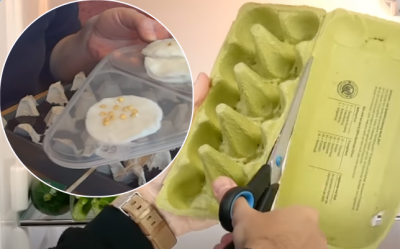Почему хозяйки не выбрасывают упаковку от яиц: 5 способов применить ее с пользой