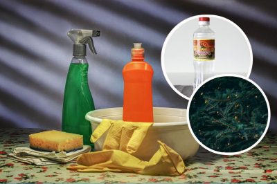 Чим помити підлогу без магазинної хімії: 5 натуральних засобів для ідеальної чистоти