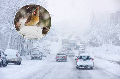 погода, погода в Україні