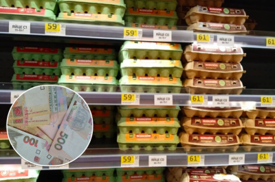 Ціни на яйця Ціни на яйця