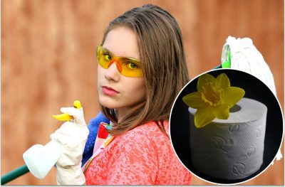 Лайфхаки для унітазу Лайфхаки для унітазу
