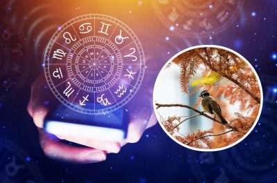 "Кінець листопада зі знаком мінус": астролог насторожила прогнозом на найближчі дні