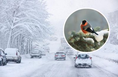 Київ завалить снігом: киянам назвали дату небезпечної погоди