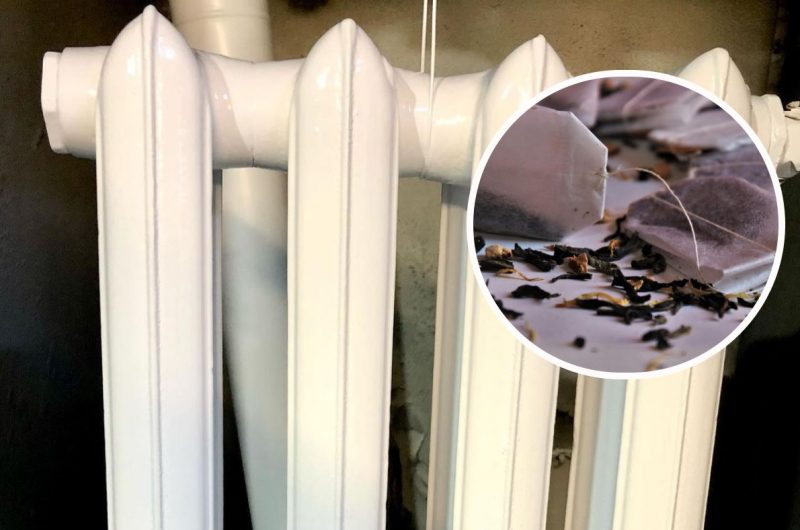 Навіщо класти використаний чайний пакетик на батарею: для багатьох це стане відкриттям