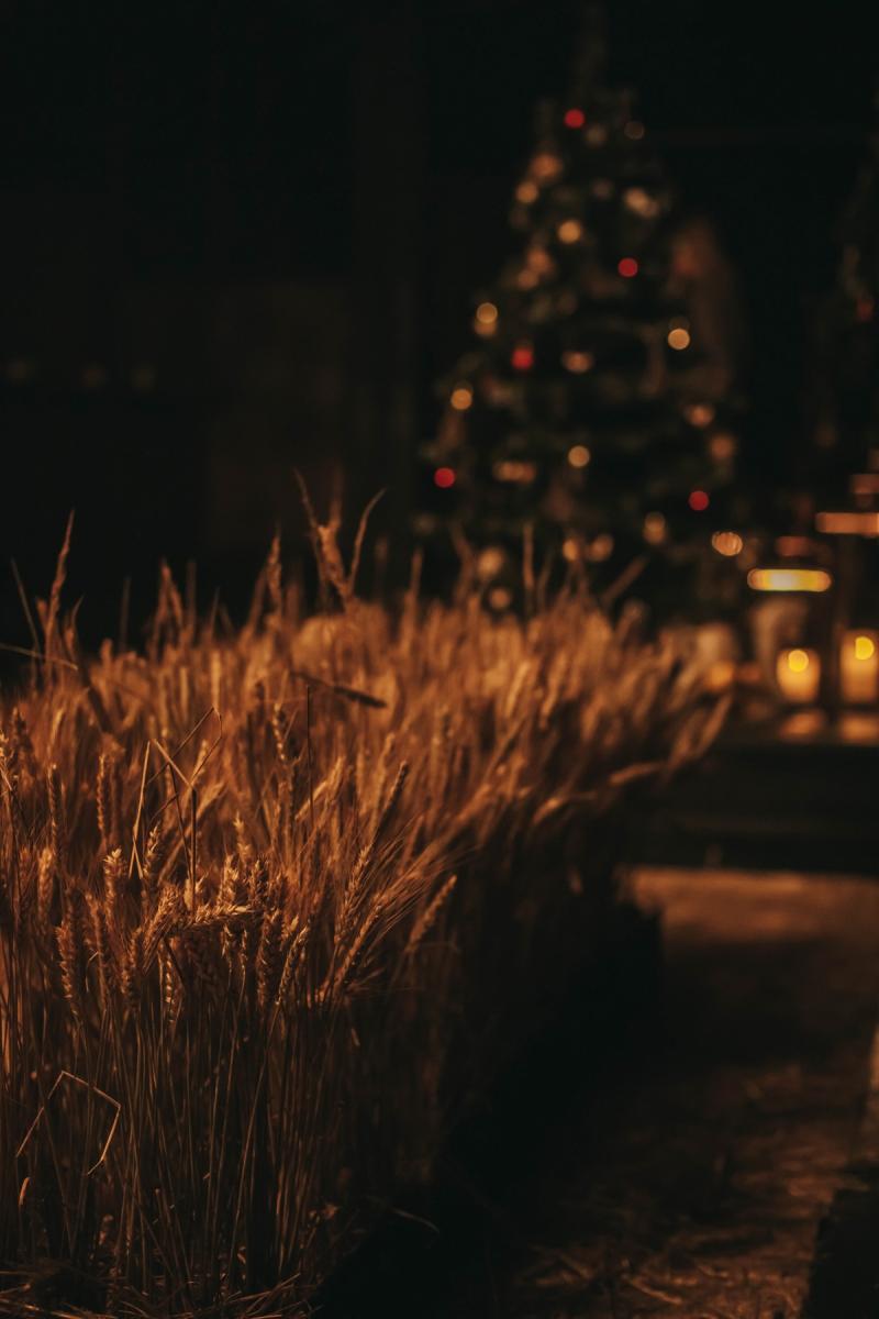 Ти не один - різдвяний проєкт від 1+1 Ти не один - різдвяний проєкт від 1+1