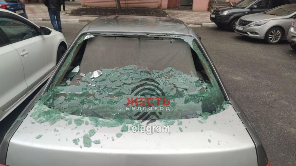 "Бавовна" у Білгороді