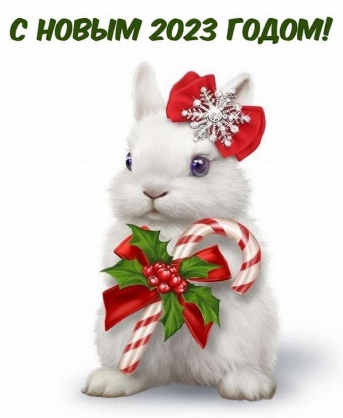 Новым годом год кролика. Новогодний кролик. Новогодний заяц. С Рождеством заяц. Новогодняя открытка с кроликом.
