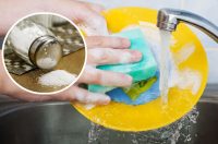 Навіщо господині сиплють сіль на губку для посуду: дієва хитрість від кухонної проблеми