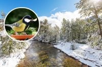 Весна увірветься в Україну: синоптик здивував прогнозом погоди на січень 2023 року