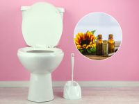 Дивно, але це працює: навіщо господині протирають унітаз та раковину соняшниковою олією