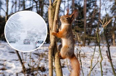 В Україні різко потепліє: насувається циклон зі снігопадами і дощами